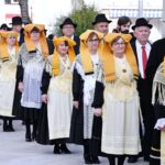 NJIVICE15